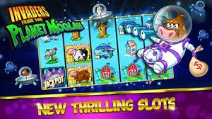 Aplikasi mobile panda168 menampilkan kasino live dealer dengan streaming HD dan antarmuka intuitif